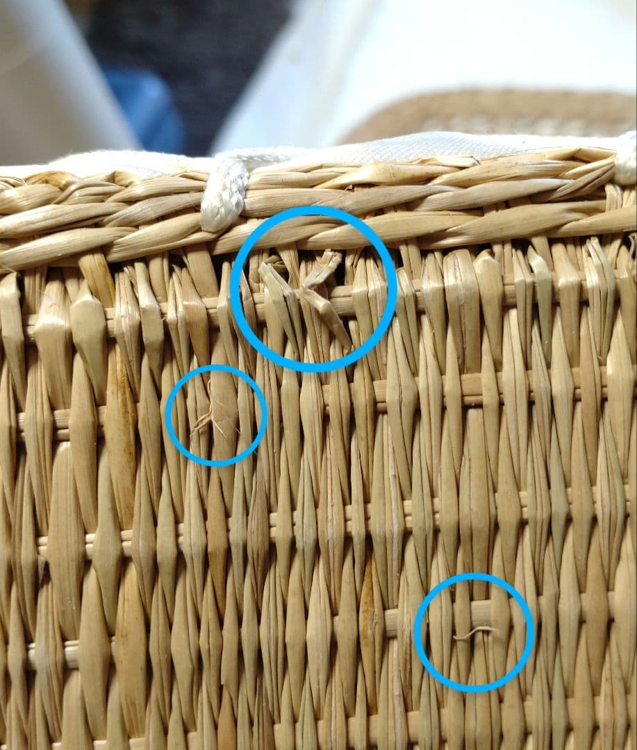 天然素材 座布団 い草？ クッション 3枚 昭和レトロ 古民家