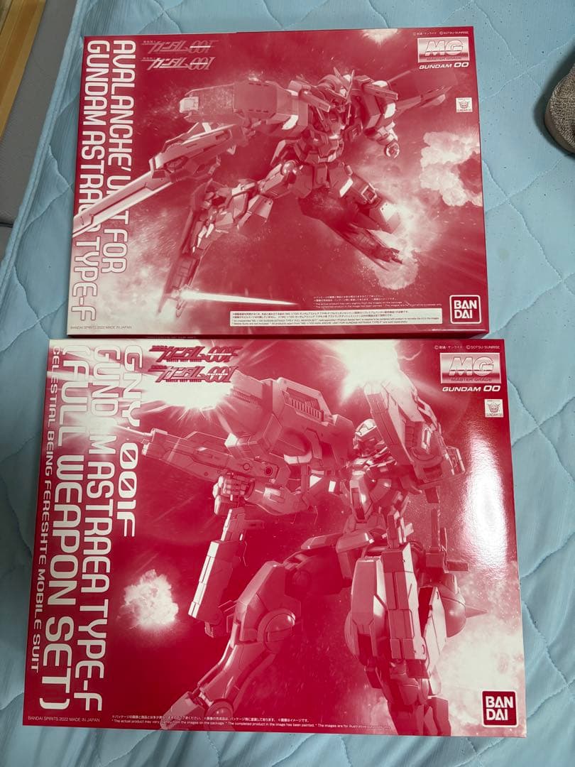 MG ガンダムアストレアタイプF フルウェポン＋アヴァランチダッシュユニット