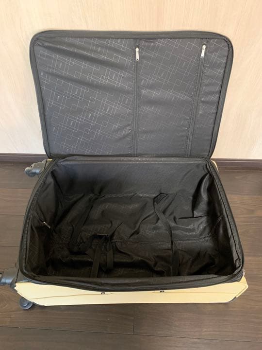 タイタン TITAN 超軽量ソフトスーツケース