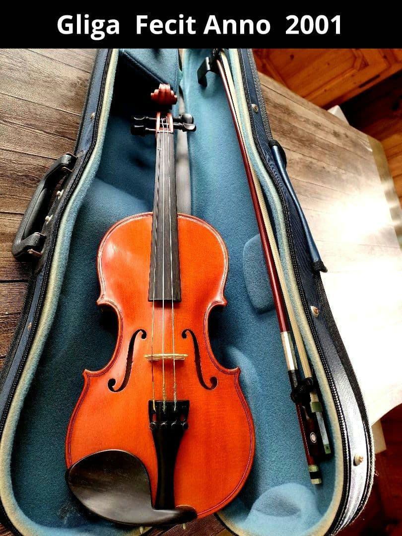 Gliga グリガ バイオリン　1/2　2001