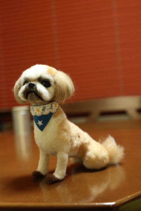 羊毛フェルト　シーズー