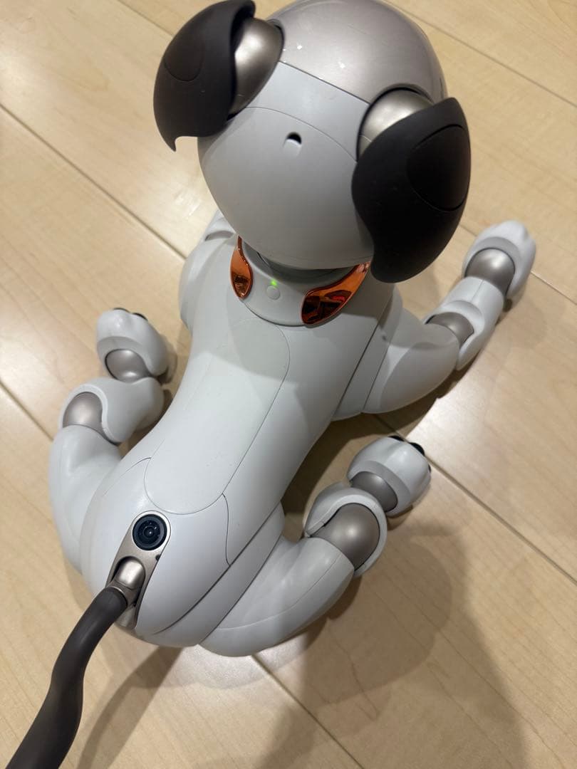 【美品】SONY aibo ERS-1000 ソニー アイボ アイボリー/グレー