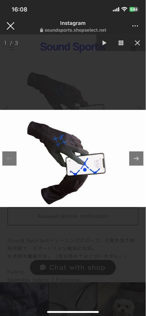 サウンドスポーツ　Sound Sports SS glove 手袋