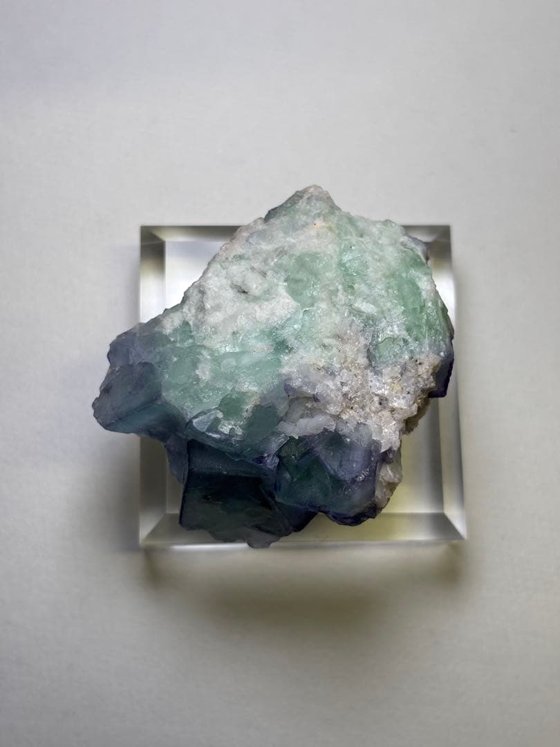 ポーセリンフローライト