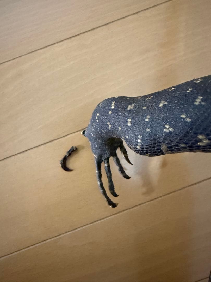 サルバトールモニターミズオオトカゲ剥製