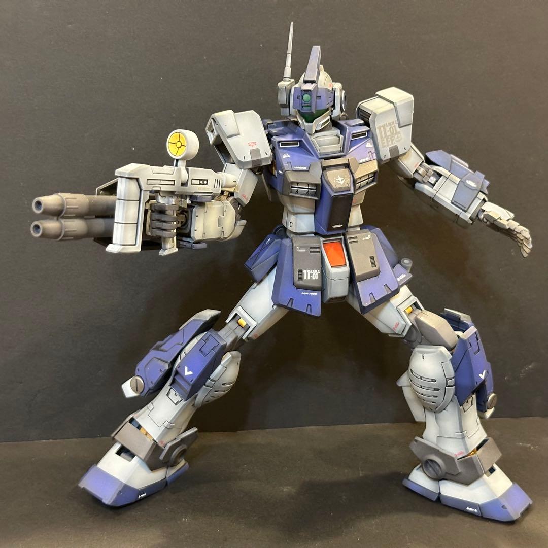 MG 1/100ジム・ドミナンス 塗装完成品
