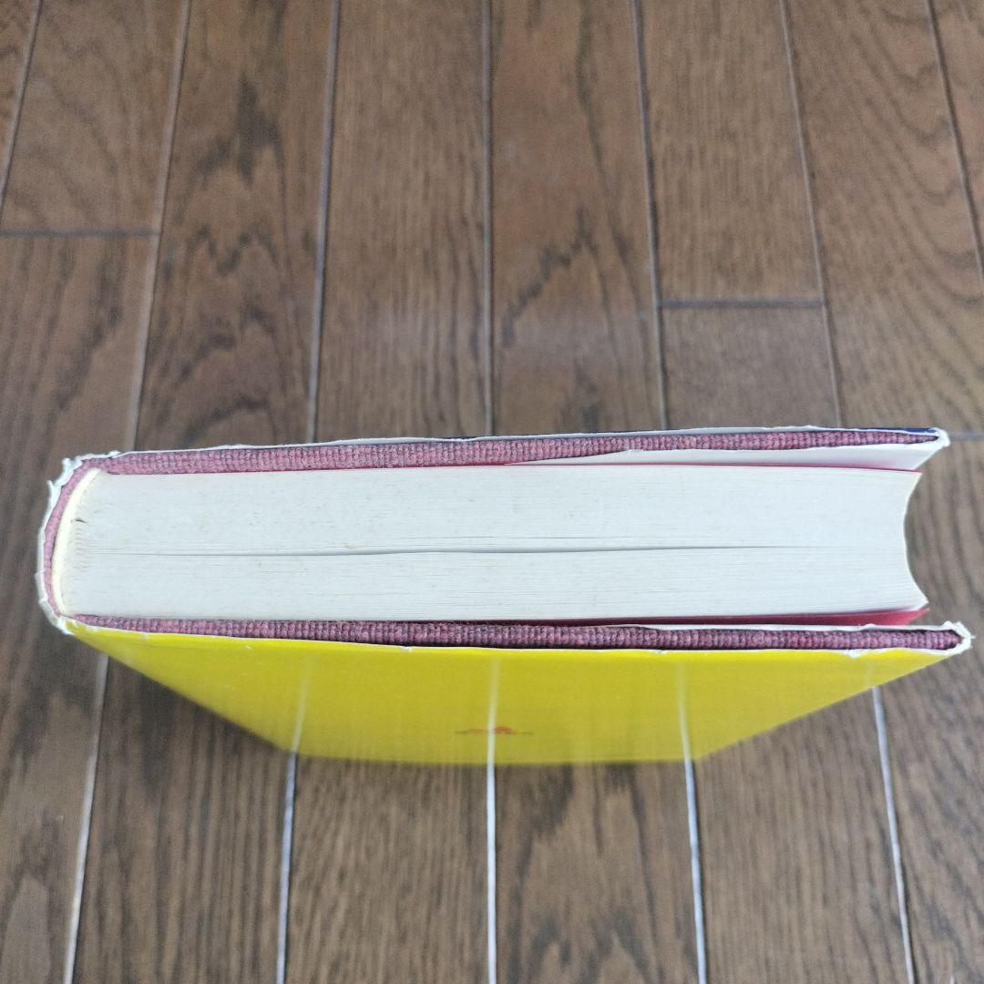 宝瓶宮福音書 リバイ・ドーリング著