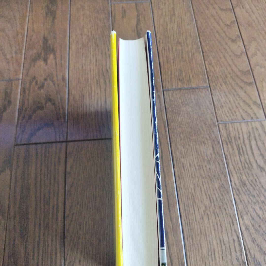 宝瓶宮福音書 リバイ・ドーリング著