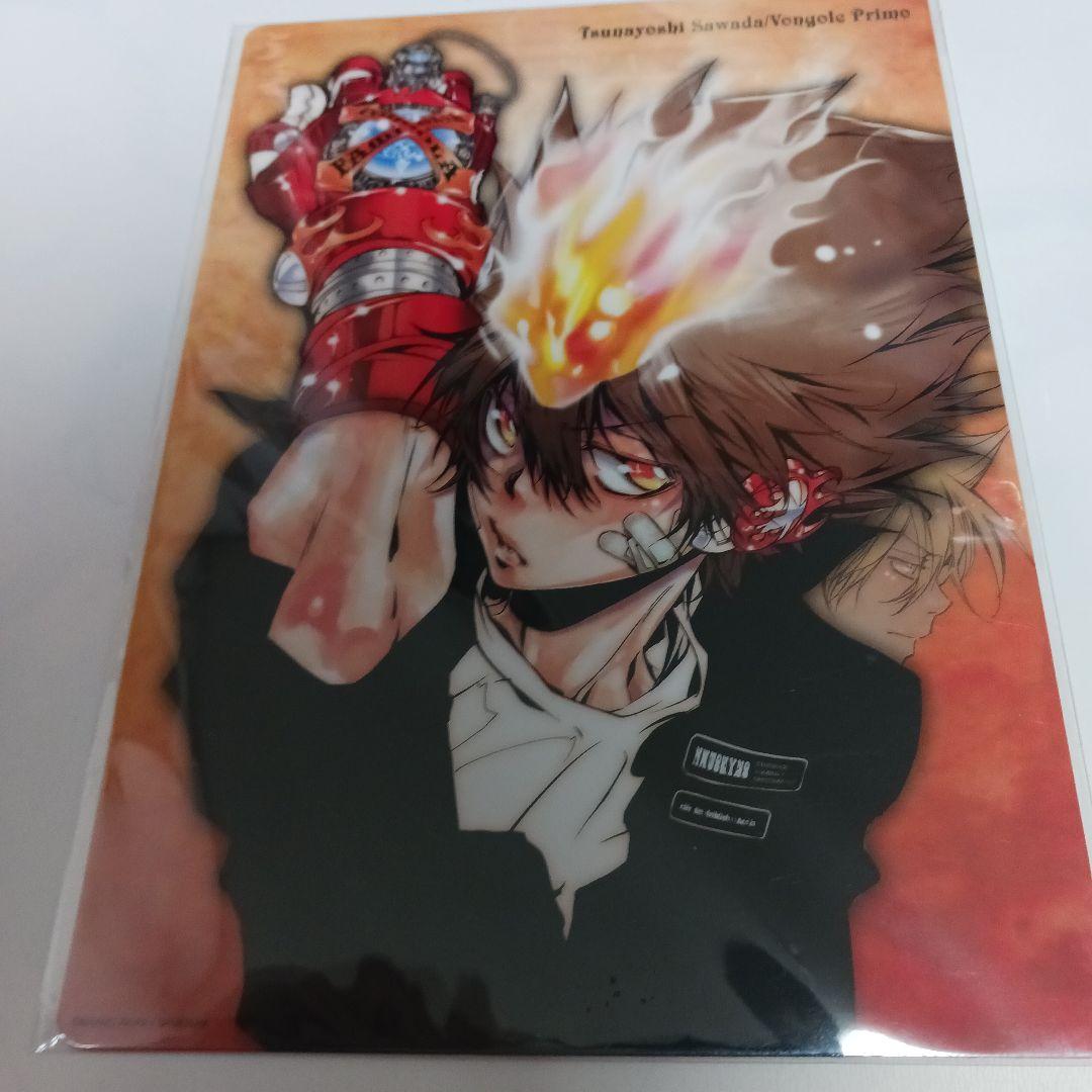 家庭教師ヒットマンREBORN!　沢田綱吉　獄寺隼人　両面下敷き