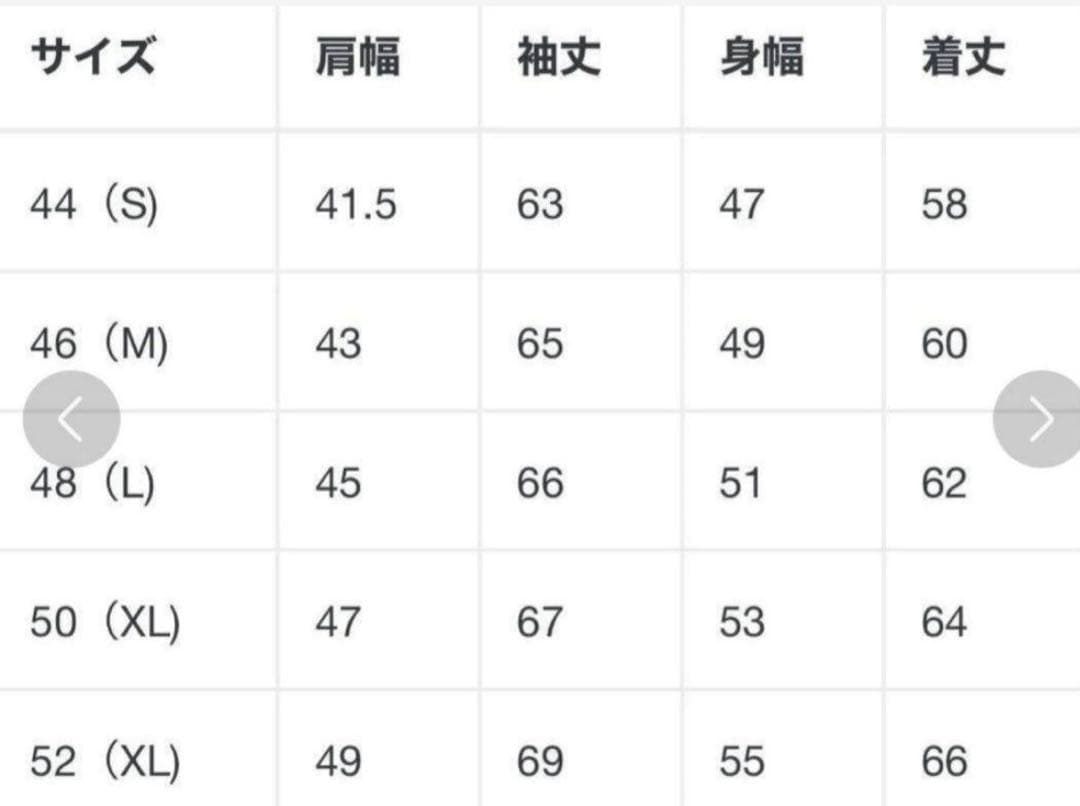 DOMENICO+SAVIO 亀梨　山猫　レザージャケット