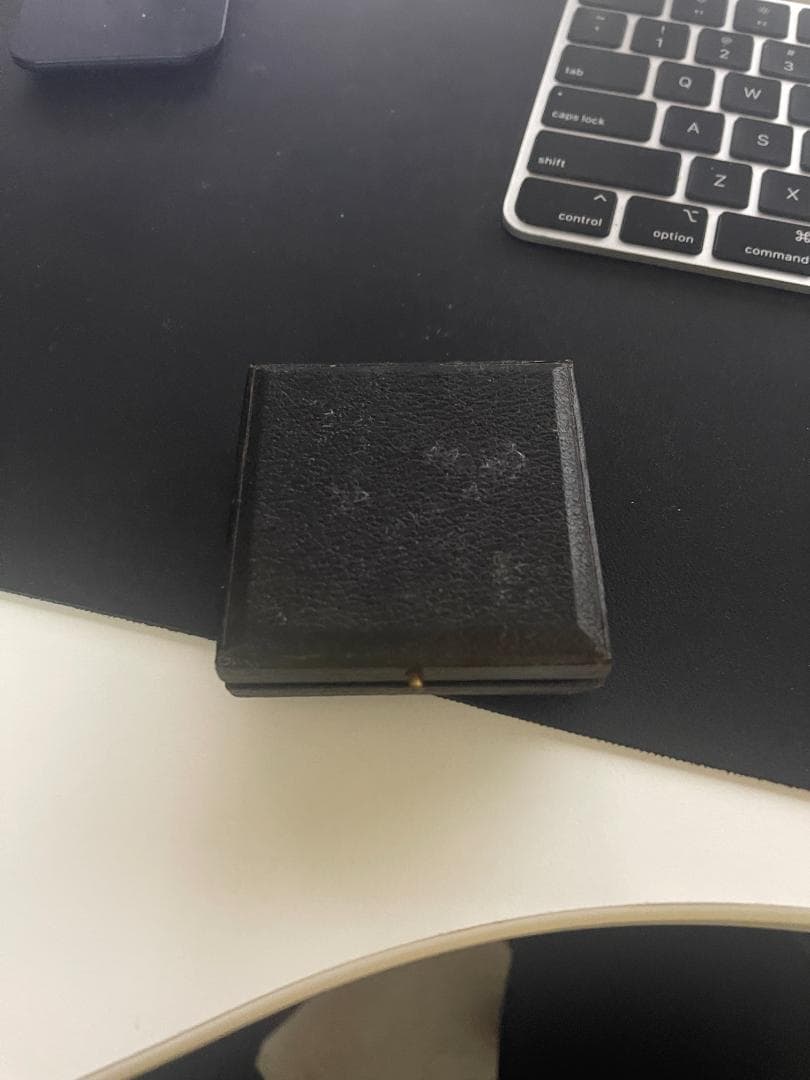 サルバトール・ムンディの歴史的なメダル