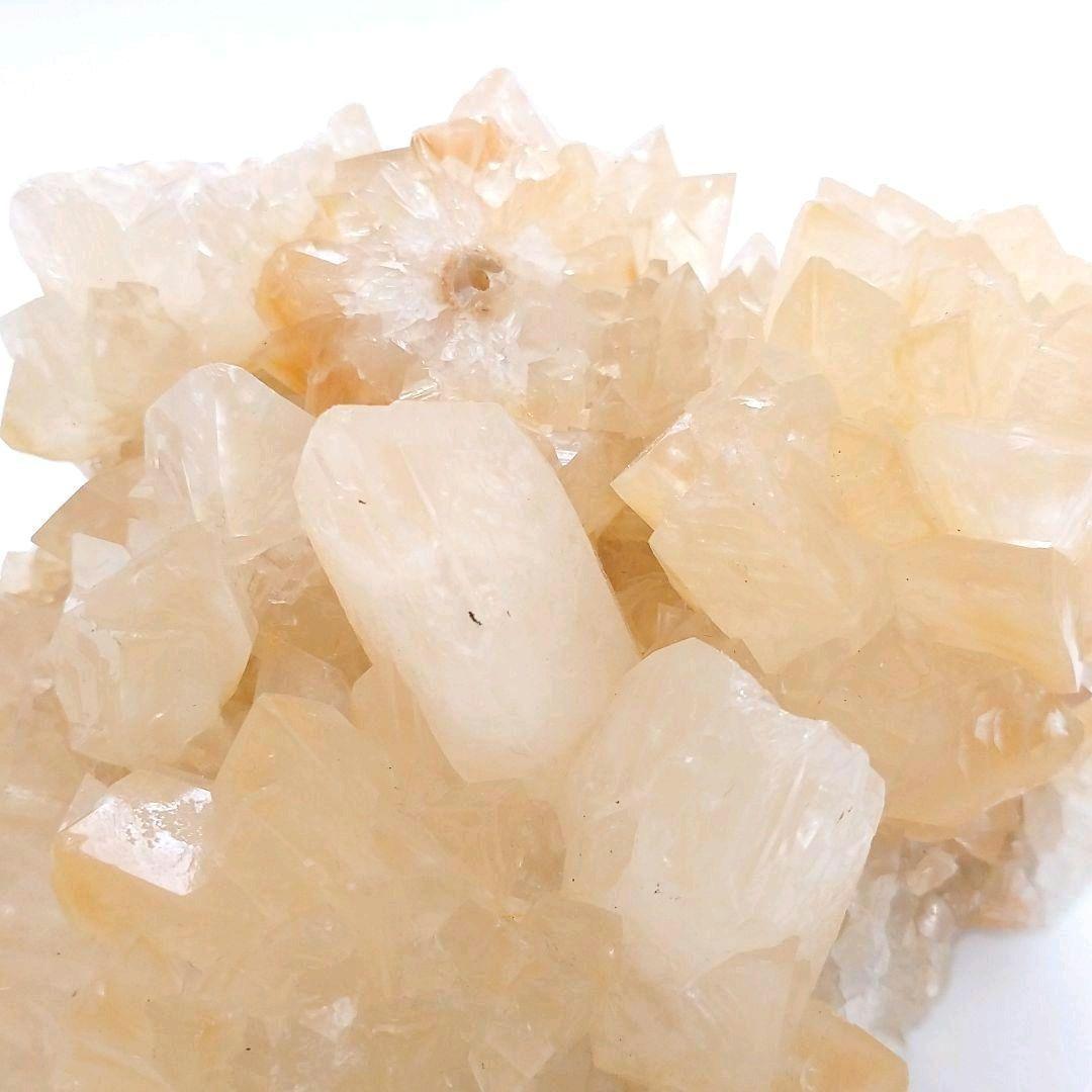 カルサイト 1：超大型品