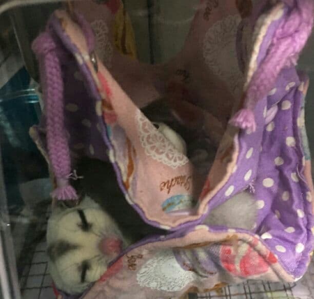 モモンガハウス (パンダカフェ柄ピンク)ボアベージュ 2000円