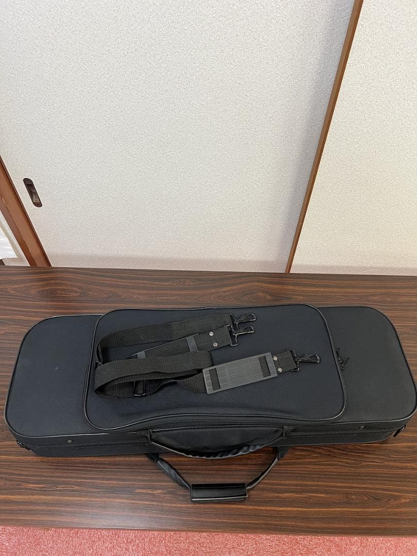 弦楽器 Alexandru Ozon Bucuresti Romania 2017