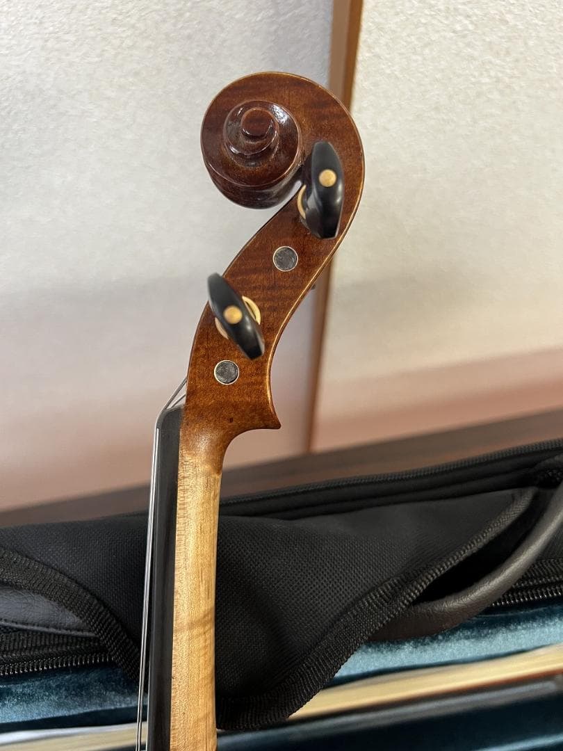 弦楽器 Alexandru Ozon Bucuresti Romania 2017