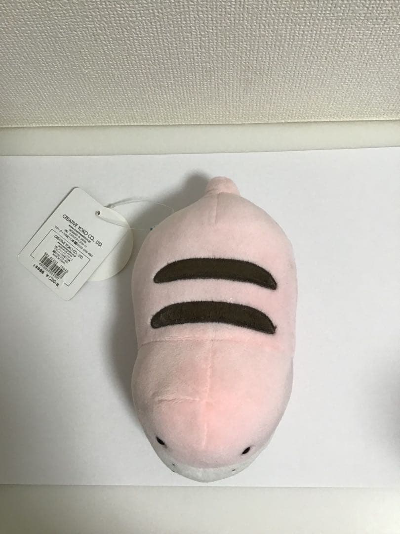 しろたん 限定つちのこたん 4種類 タグ付き