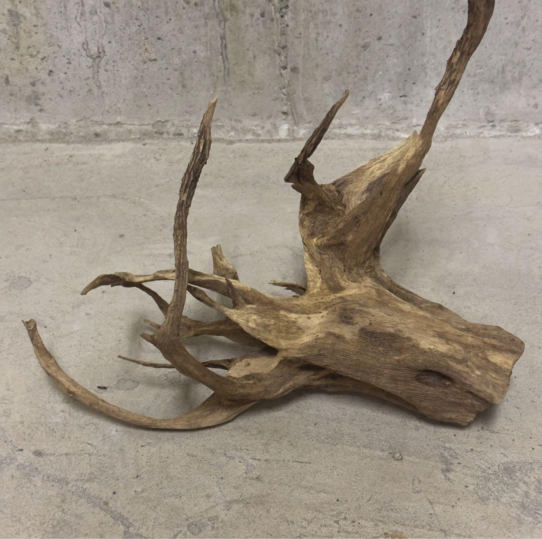 流木　アクアリウム　テラリウム　ADA