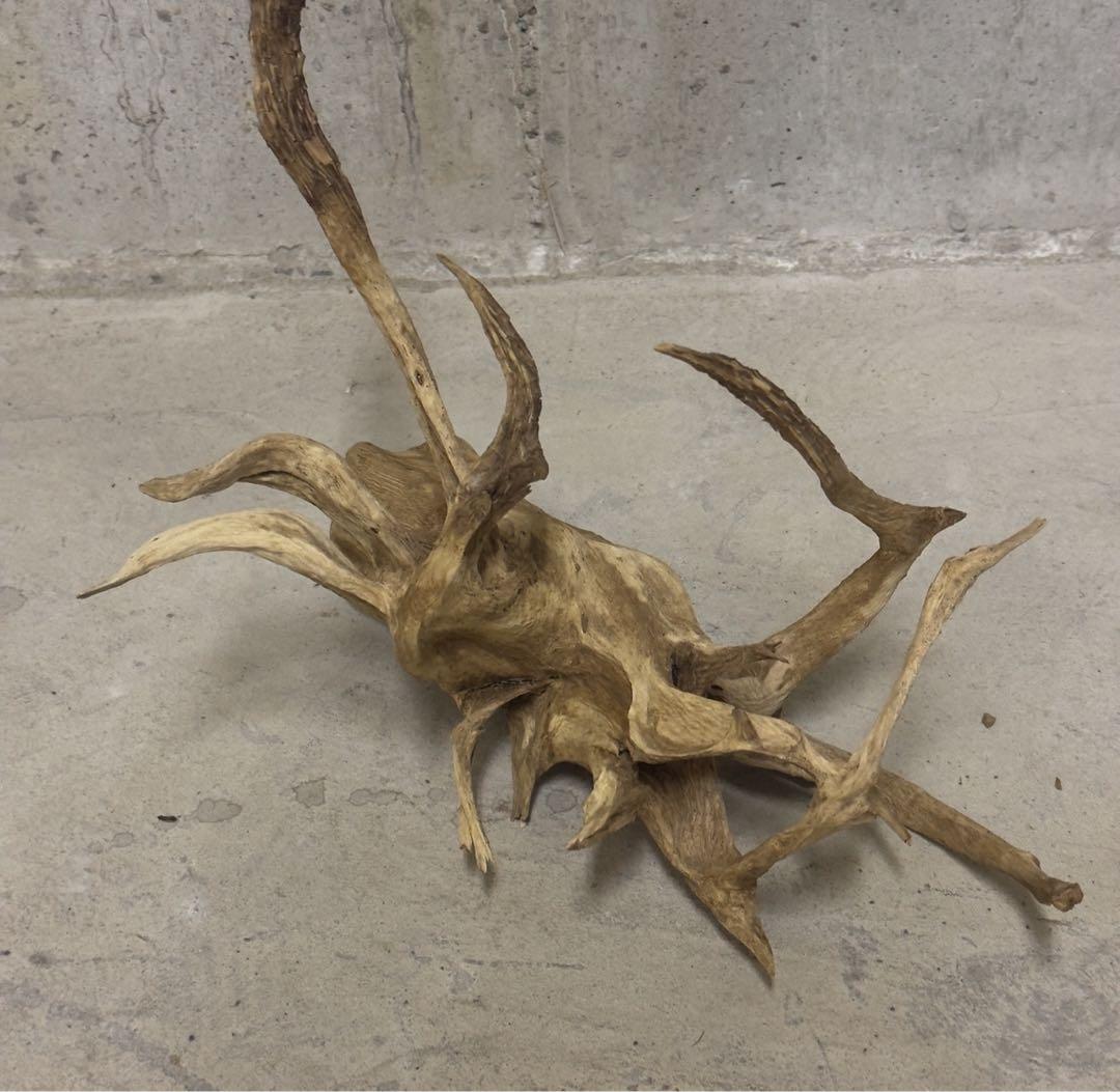 流木　アクアリウム　テラリウム　ADA