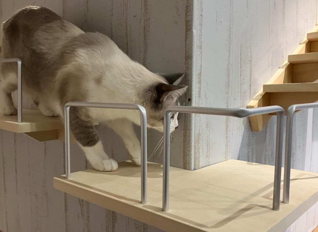 キャットウォーク、手すり付きコーナーステップ出隅、在庫翌日発送