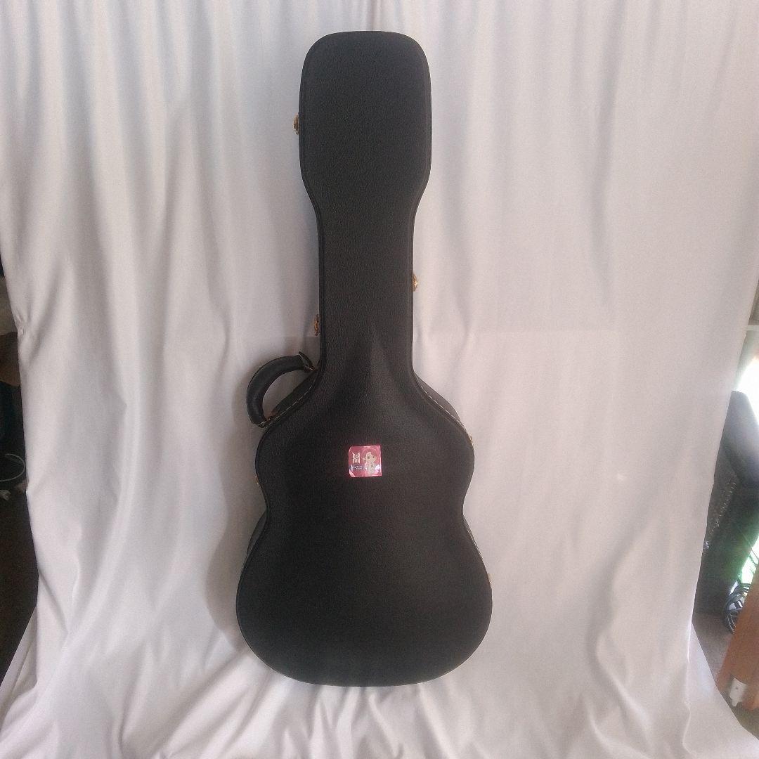 Recording King RO-27 アコースティックギター ケース付き