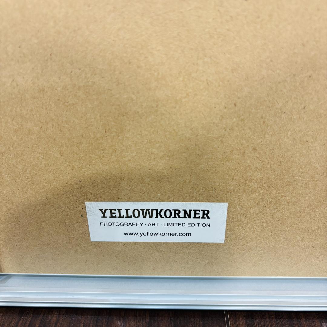 YellowKorner スピヴァク モーニング＆モーニングⅡ フォトアート