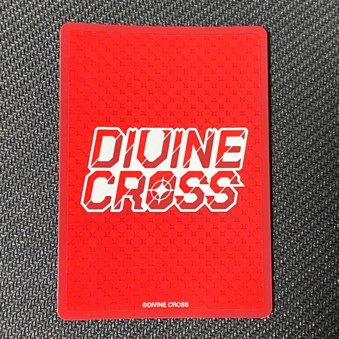SEC Partner箔 二人きりの世界 雪 DIVINE CROSS