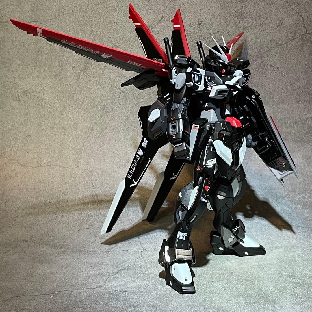 確認用 RG ソードインパルスガンダム RG フォースインパルスガンダム