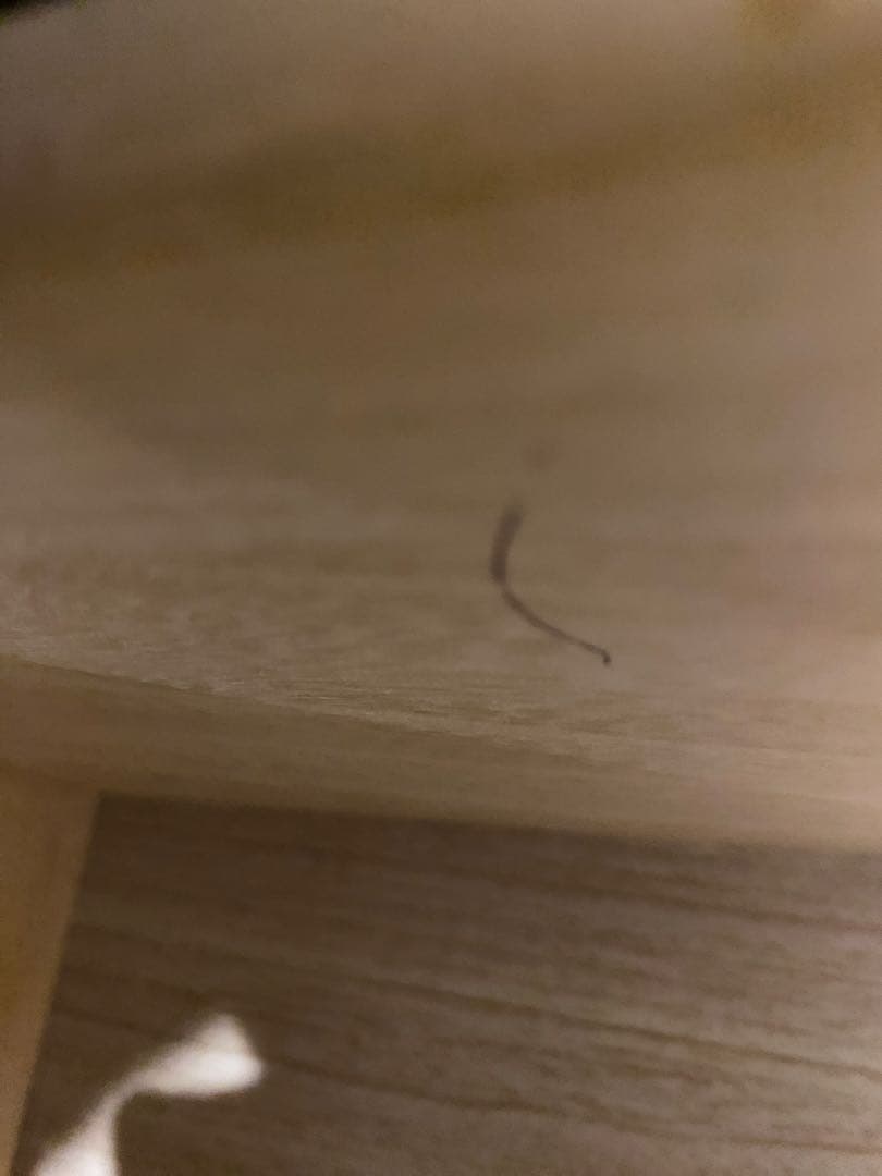 ISSEIKI CRAULチェスト 収納 幅80 ウォルナット リビング収納