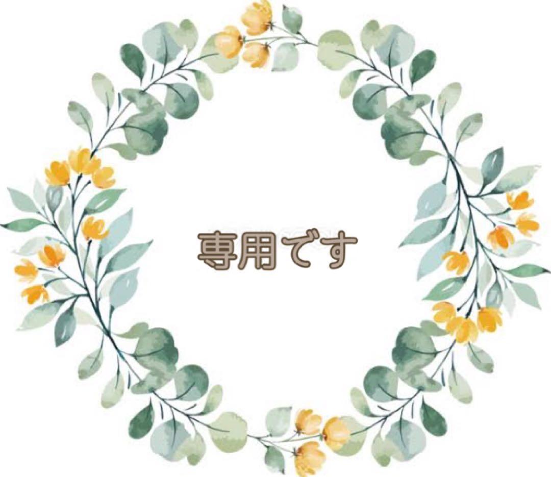 自由人　【未使用】音波振動歯ブラシ＋新品交換ブラシ(4個入)