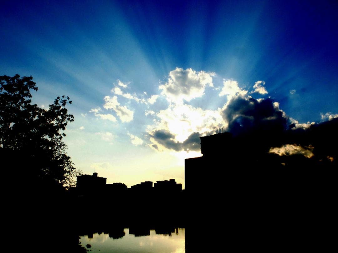 Fujifilm X20 コンパクトデジタルカメラ　ネイビーリザード張替済