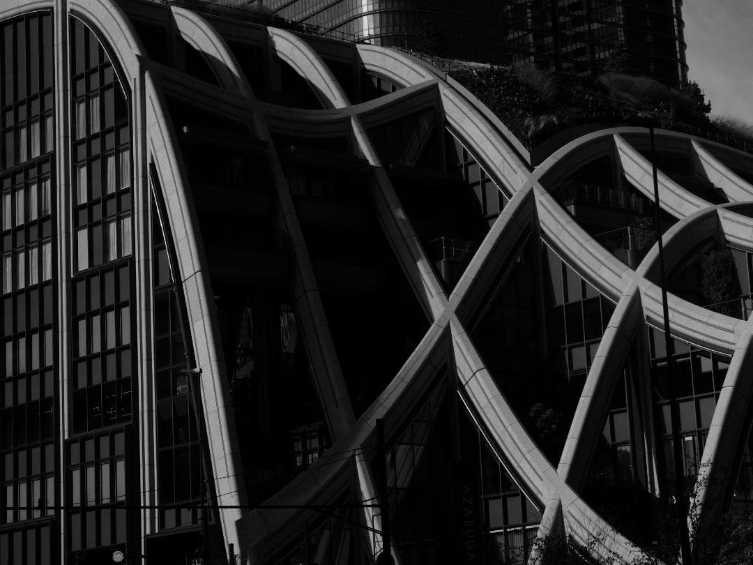 Fujifilm X20 コンパクトデジタルカメラ　ネイビーリザード張替済