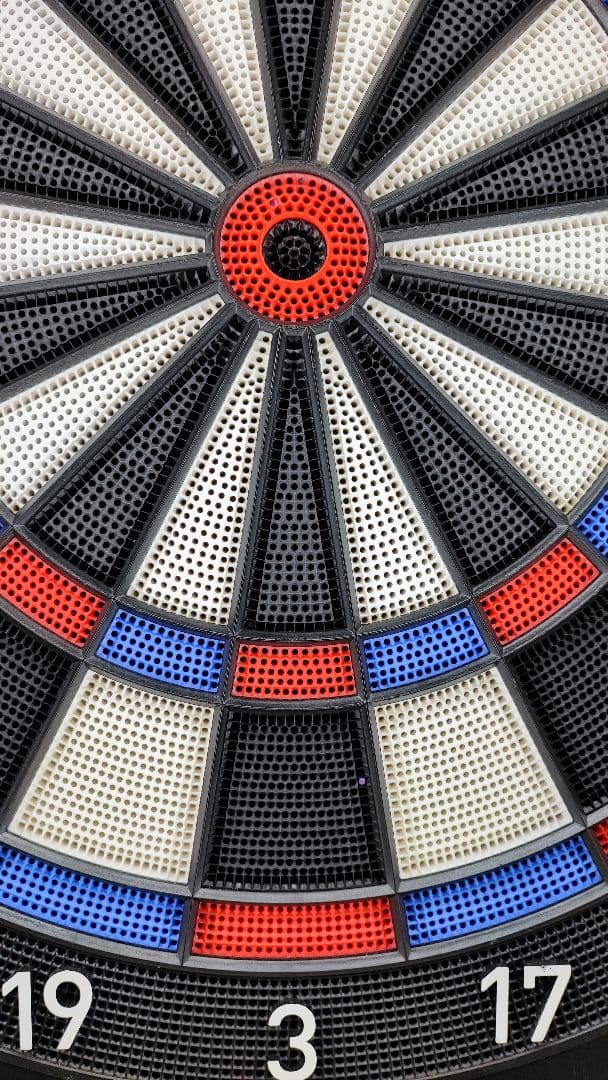 MAX　DARTSLIVE  ダーツボード