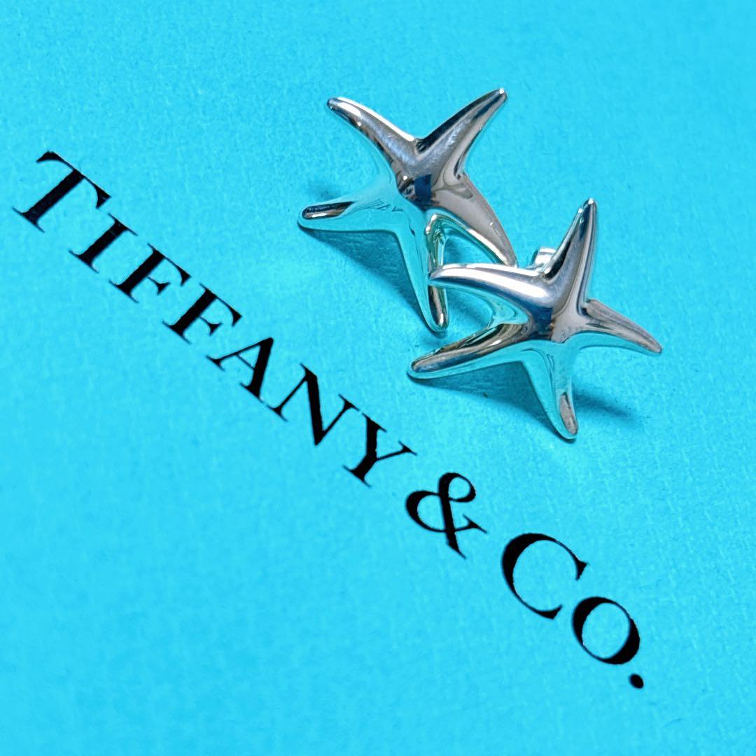 【美品】Tiffany ティファニー フィッシュスター ピアス シルバー925
