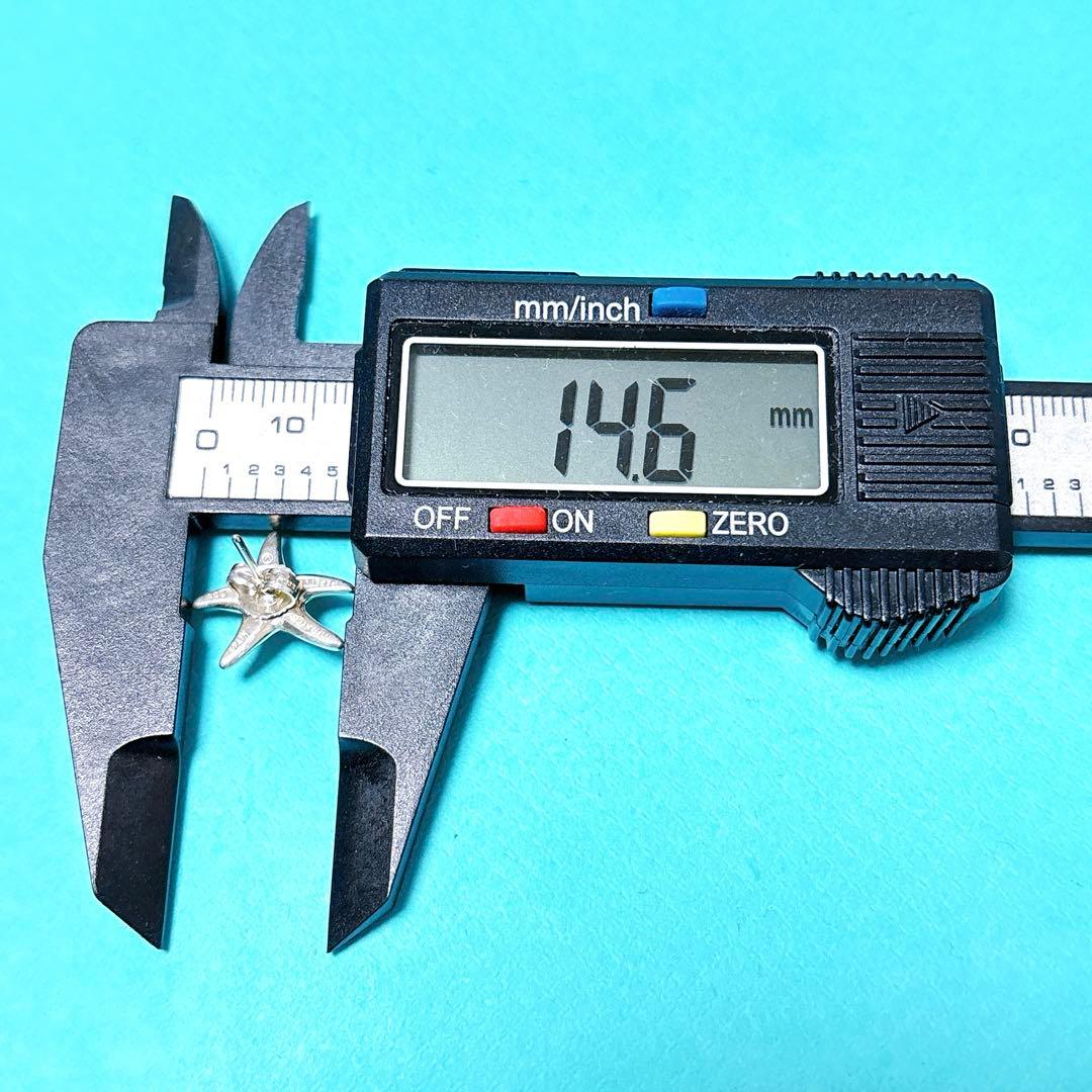 【美品】Tiffany ティファニー フィッシュスター ピアス シルバー925