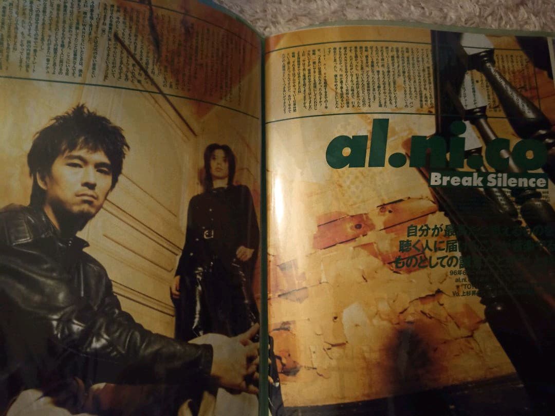 al.ni.co(WANDS)切り抜き+α