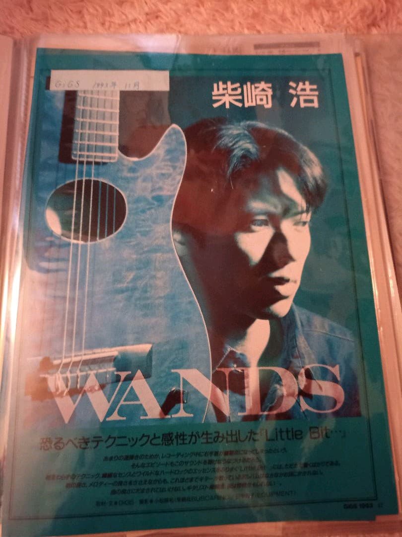 al.ni.co(WANDS)切り抜き+α