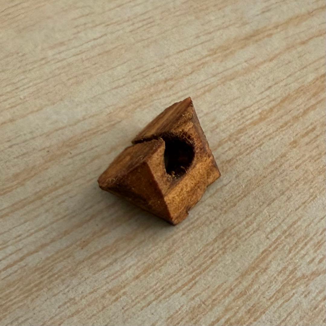 【二胡 】敦煌牌入門向け 本皮仕様 南胡 木製本体 弦・駒付 ハードケース付き