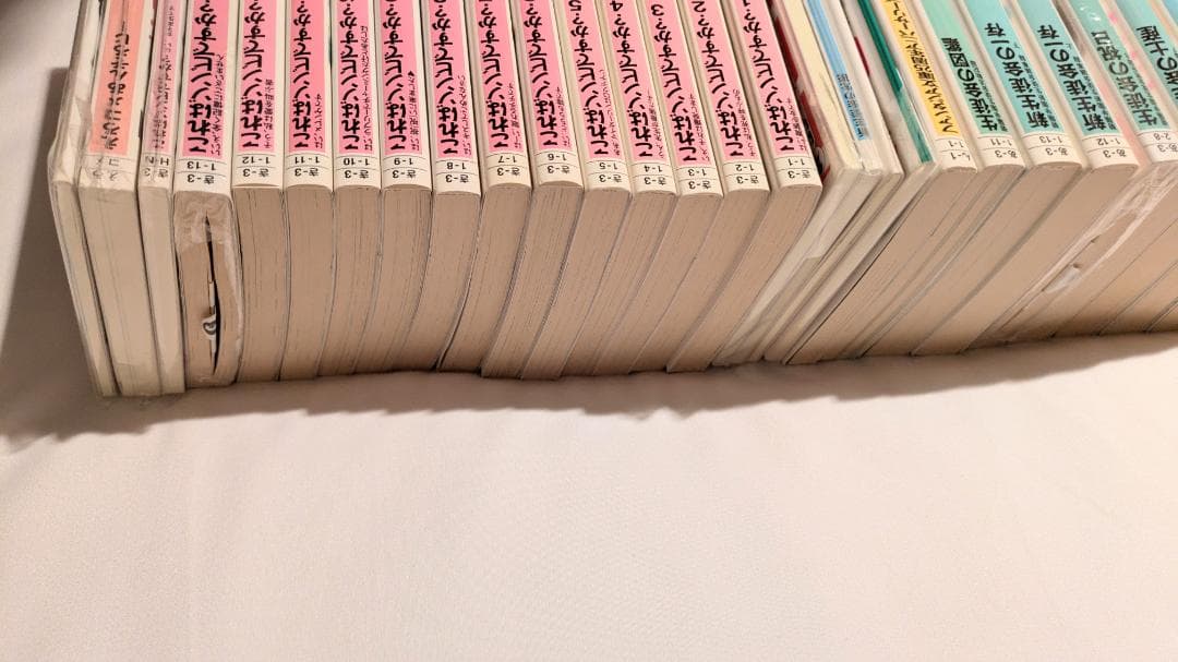 小説 ファンタジア文庫 生徒会の一存 これはゾンビですか？ ライトノベル