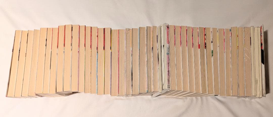 小説 ファンタジア文庫 生徒会の一存 これはゾンビですか？ ライトノベル