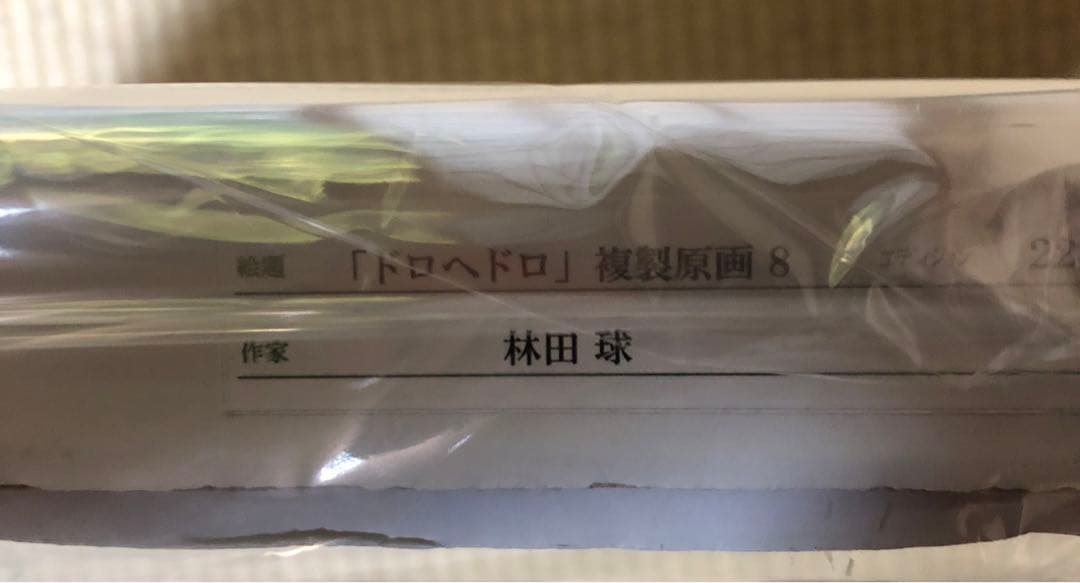 Y*a様 ドロヘドロ 直筆サイン入り 複製原画 心&能井 シリアルナンバーあり