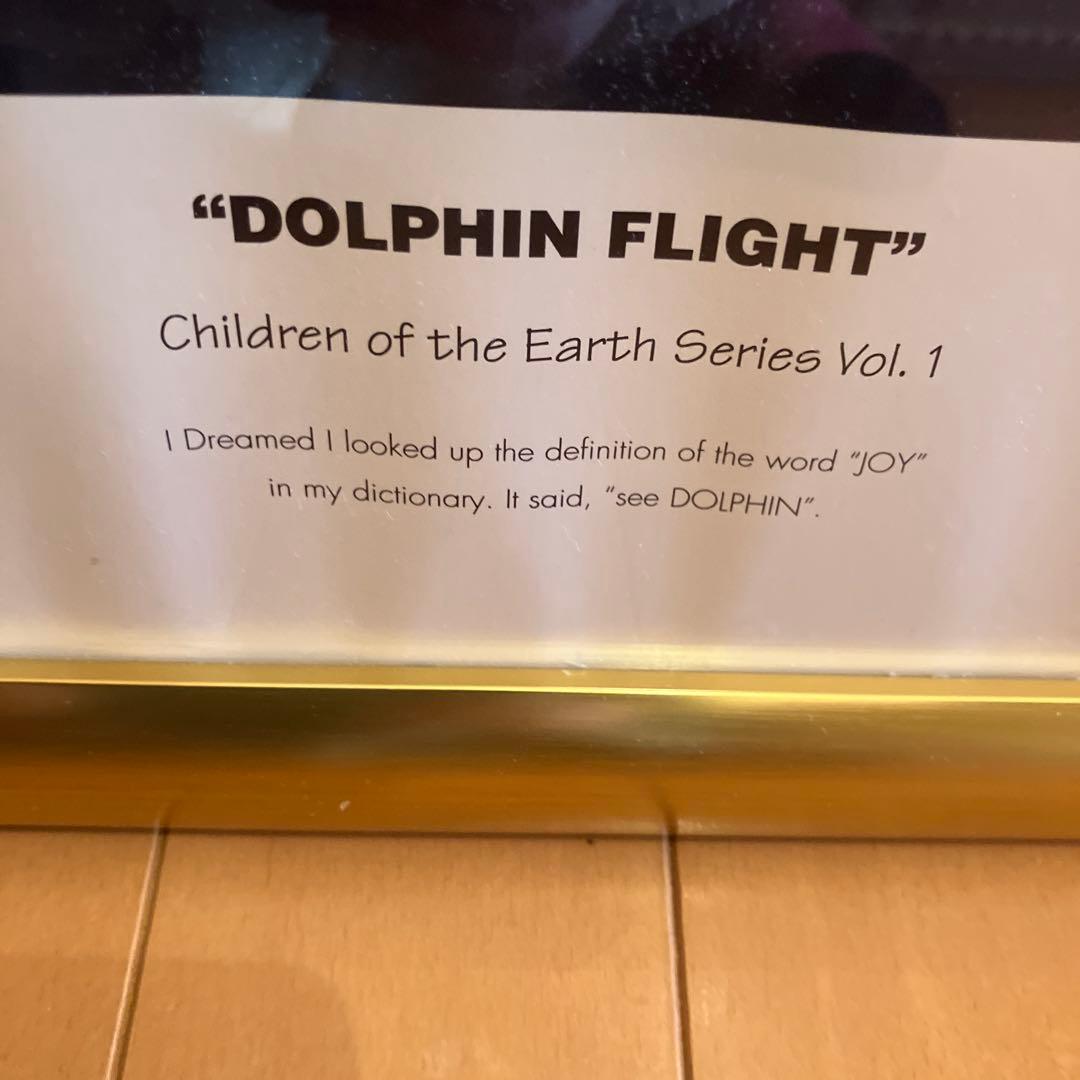 イルカポスター　額入り