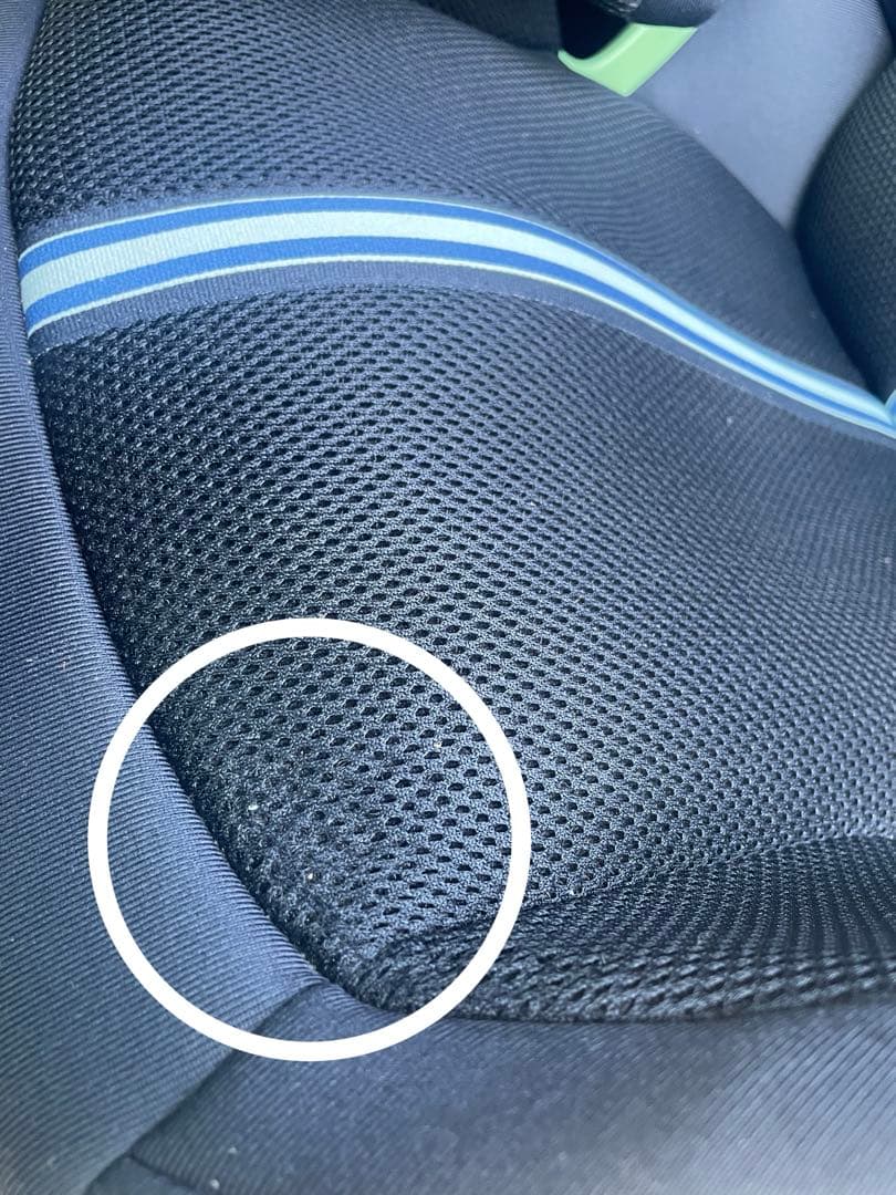 PALLAS G2 2025年モデル　オーシャンブループラス(限定カラー)