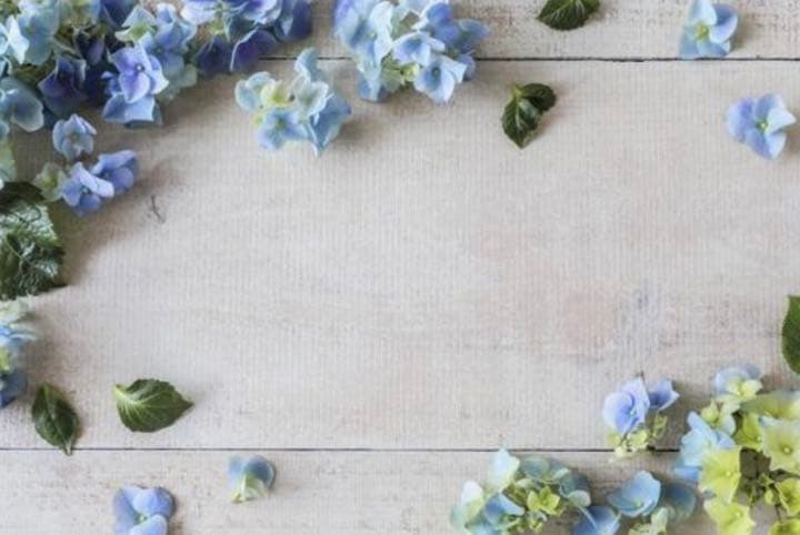 M1069.YR原創  一袋芬芳 マスキングテープ  水晶PET