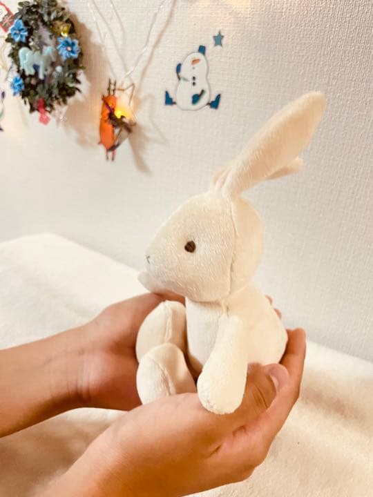 お年玉キャンペーン中!!宇宙船型ハウス チンチラハウス 小動物用 ペットハウス