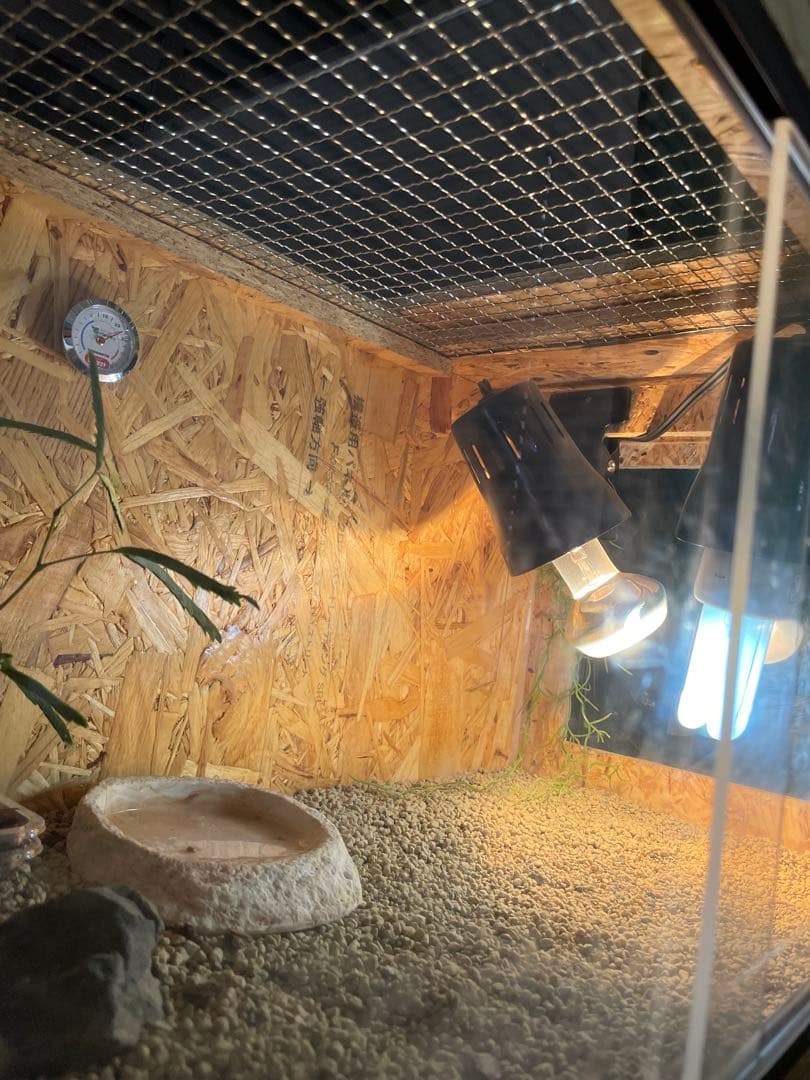 【新色】爬虫類 小動物 ケージ　cage DIY 飼育かご