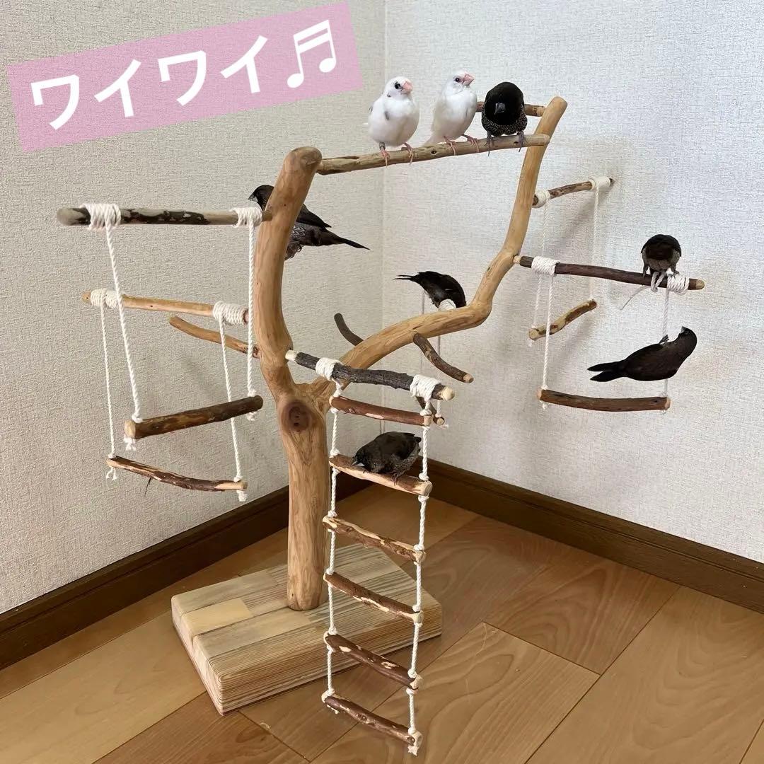 【小鳥用】わぃわぃ楽しい♬ブランコ&ハシゴ付 バードアスレチック