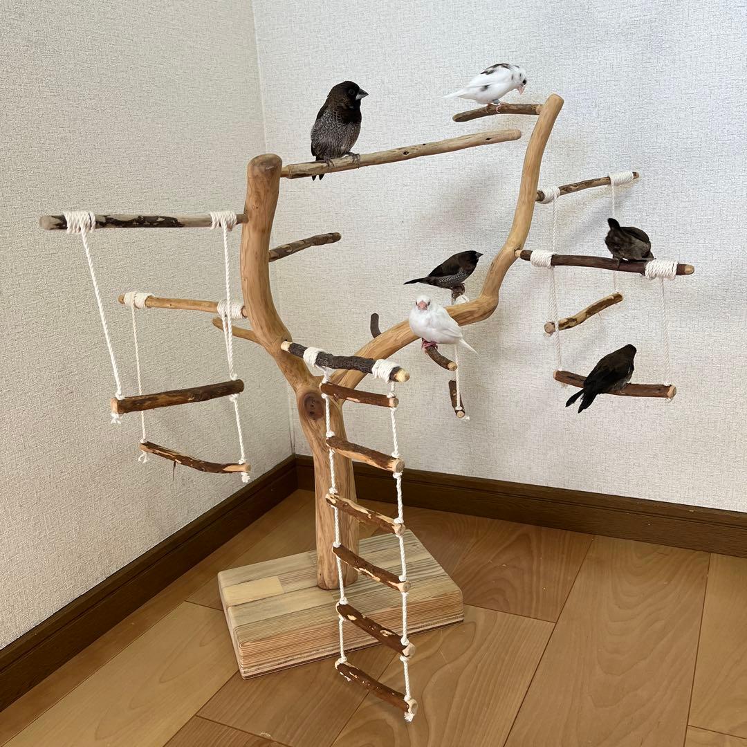 【小鳥用】わぃわぃ楽しい♬ブランコ&ハシゴ付 バードアスレチック