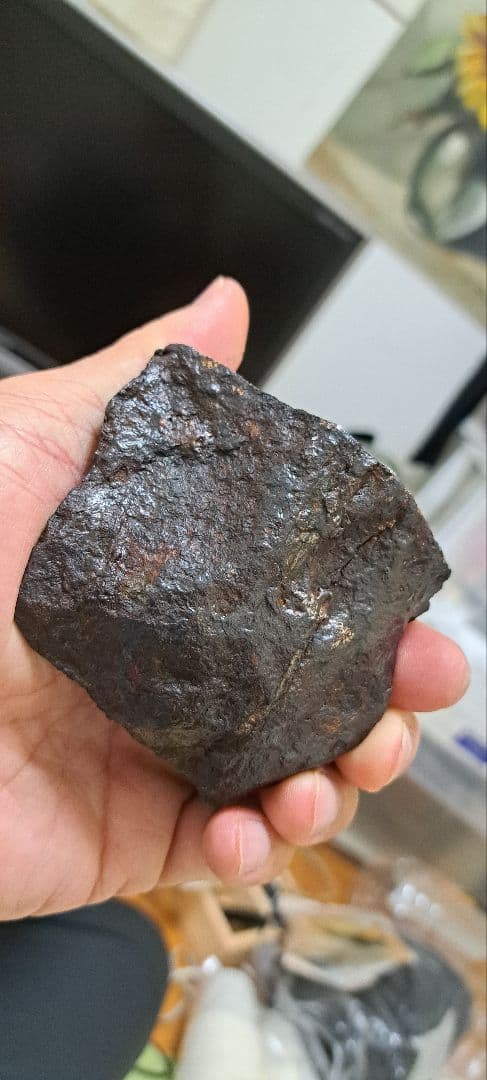 【金運】アルタイ隕石　大型隕石 鉄隕石　外皮付き隕石　原石　重さ887ｇ