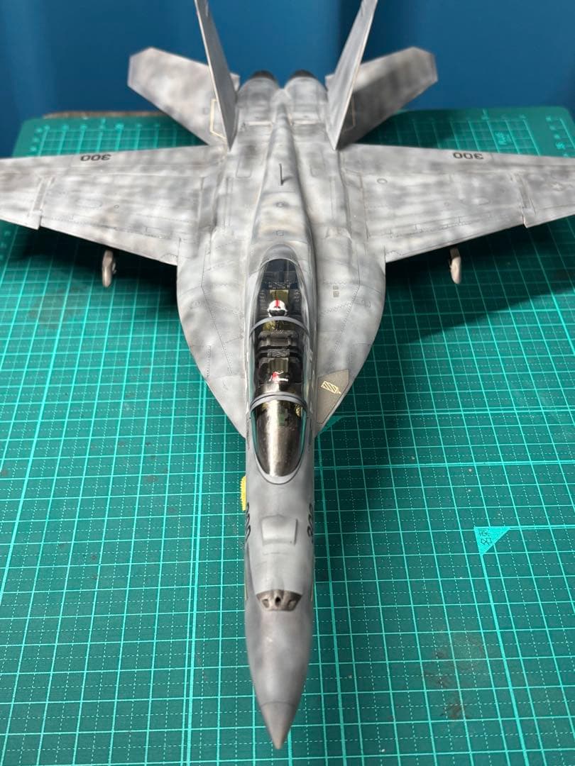 戦闘機　プラモデル　完成品　ハセガワ　1/48 F/A-18F