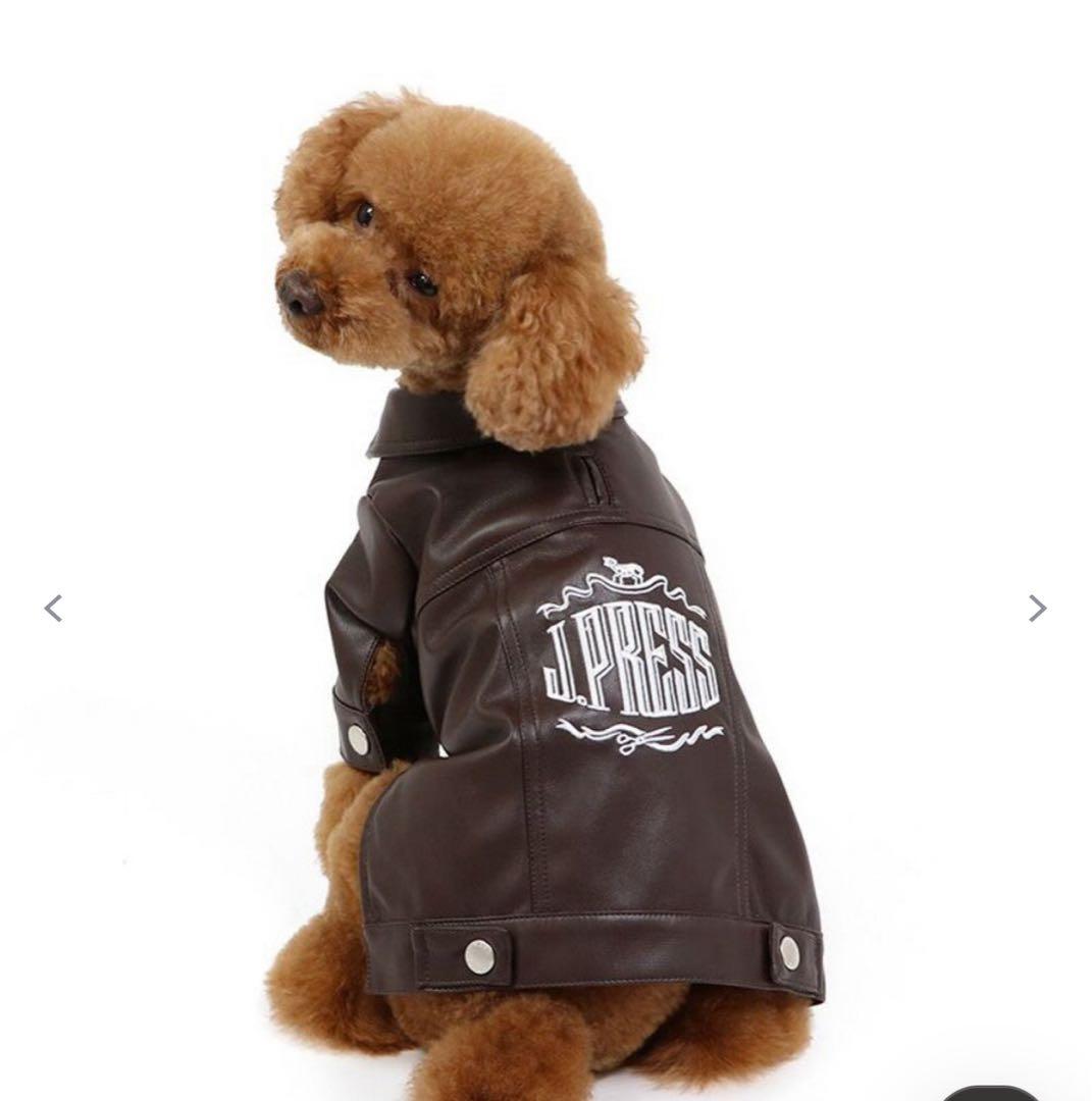 ペットパラダイス ハーネス服セット